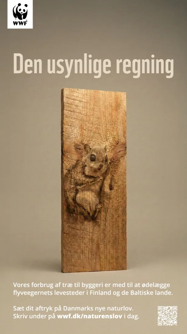 Den usynlige regning — træ og flyveegern (WWF Danmark)